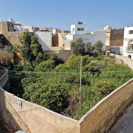 Sunshell Luxury Lija